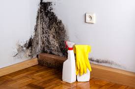 Best Mold Remediation for Healthcare Facilities  in Hebron, PA